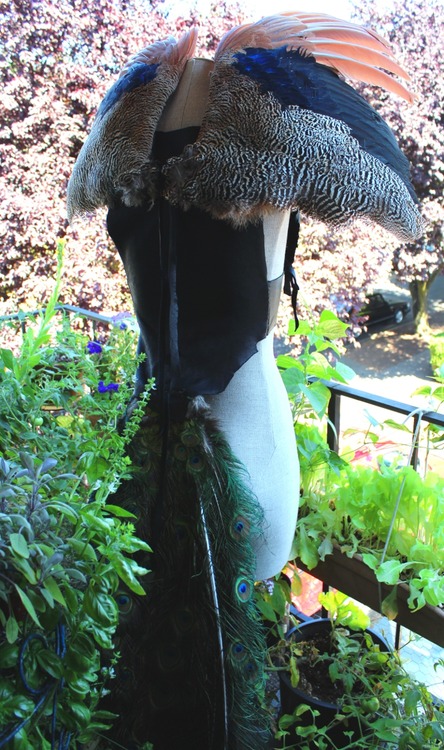 One of the costume pieces I've been working on for FaerieWorlds, featuring a real peacock tail and wings obtained from a taxidermist.